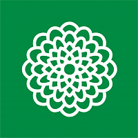 Георгины Георгины