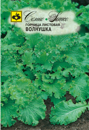 Горчица Волнушка салатная 1г (Семко)