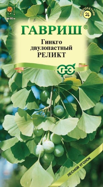 Гингко двулопастной Реликт многолетник 2шт (Гавриш)