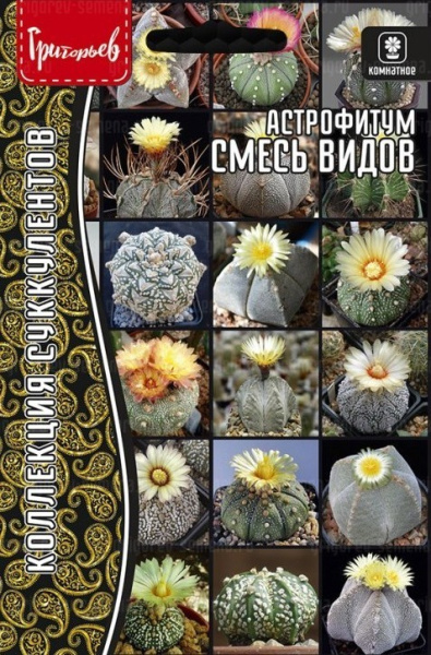 Астрофитум смесь видов 5шт (Ред.Сем.)