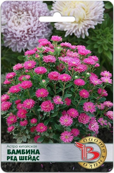 Астра Бамбина Ред Шейдс китайская однолетник 20шт (Биотехника) 126035