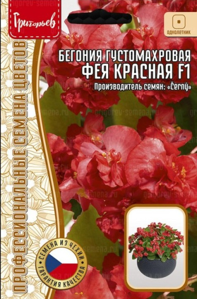 Бегония Фея красная F1 густомахровая однолетник 5др (Ред.Сем)