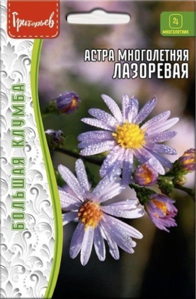 Астра Лазоревая многолетняя большая грядка 20шт (Ред.сем)