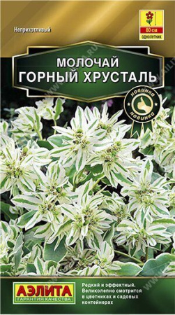 Молочай горный хрусталь однолетник 20шт (Аэлита)