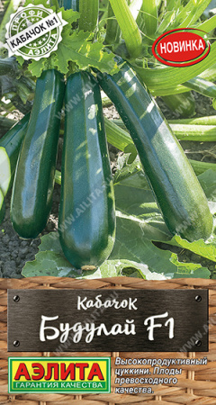 Кабачок Будулай цуккини F1 1г (Аэлита)