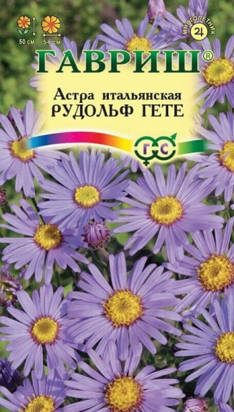 Астра итальянская Рудольф Гете 0,05г (Гавриш)