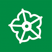 Петунии Петунии