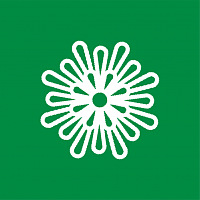 Астры Астры