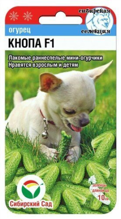 Огурец КНОПА F1 7шт (Сиб Сад)
