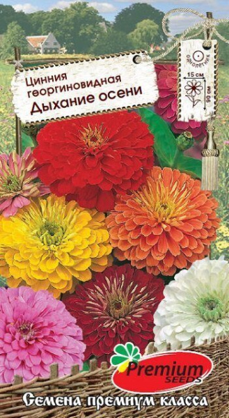 Цинния Дыхание осени смесь однолетник 0,3г (Премиум)