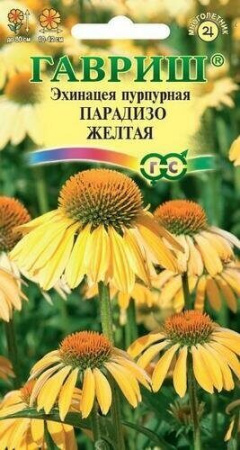 Эхинацея Парадизо желтая многолетники 5шт (Гавриш)