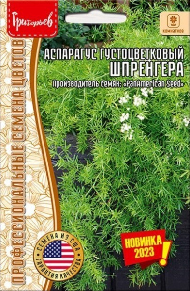 Аспарагус Шпренгера густоцветковый 3шт (Ред.Сем) Аспарагус Шпренгера густоцветковый 3шт (Ред.Сем)