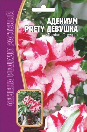 Адениум Прелестная Девушка 3шт (Ред.Сем) Адениум Прелестная Девушка 3шт (Ред.Сем)