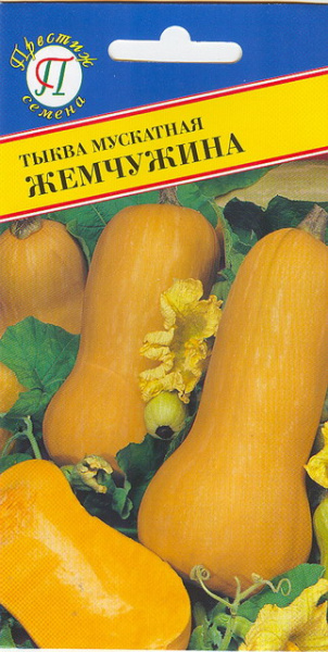 Тыква Жемчужина мускатная 5шт (Престиж)