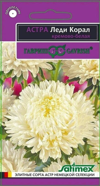 Астра Леди Корал Кремово-белая однолетник 0,1г (Гавриш)