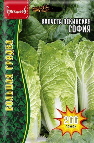 Капуста Пекинская София Большая грядка 200шт (Ред.Сем)