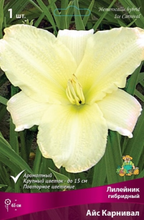 Лилейник Айс Карнавал 1шт  (Поиск)