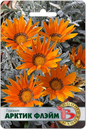 Газания АРКТИК Флэйм 7шт (Биотехника) Газания АРКТИК Флэйм 7шт (Биотехника)