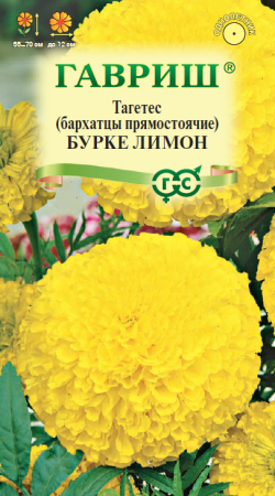 Бархатцы Бурке Лимон 0,3г (Гавриш)