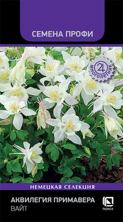 Аквилегия Примавера Вайт многолетник 5шт (Поиск)