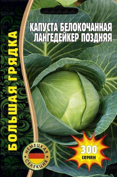 Капуста белокочанная  Лангедейкер поздняя 300шт (Ред.Сем)