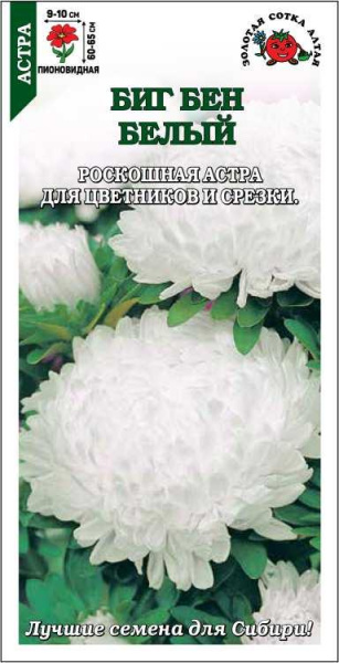 Астра Биг Бен белый однолетник 0,2г (Золотая Сотка)