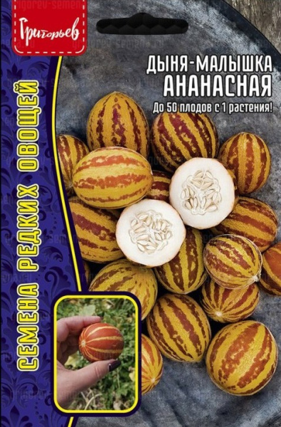Дыня малышка Ананасная 5шт (Ред.сем) Дыня малышка Ананасная 5шт (Ред.сем)
