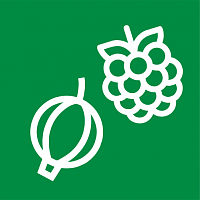 Кустарники/Деревья плодовые Кустарники/Деревья плодовые