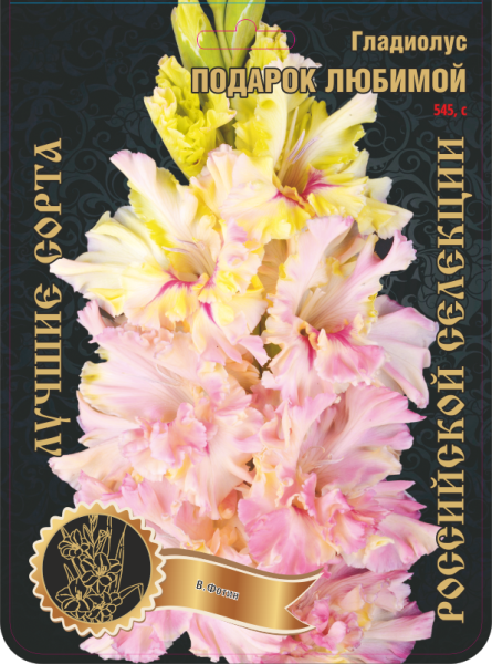 Гладиолус Подарок Любимой 545,Фотин Экстра 7шт (Ф)