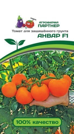 Томат Анвар F1 5шт (Партнер) Томат Анвар F1 5шт (Партнер)