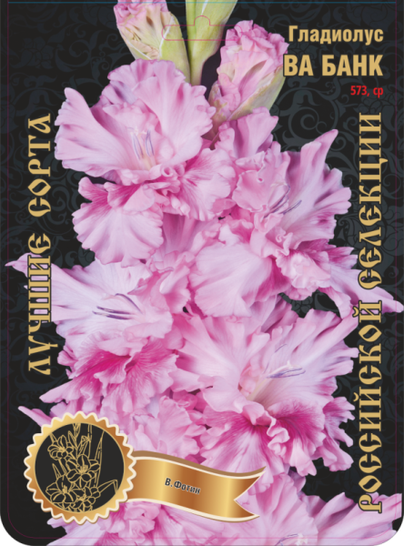 Гладиолус Ва Банк 573,Фотин 1 р-р 7шт (Ф)