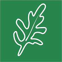 Двурядник/Рукола