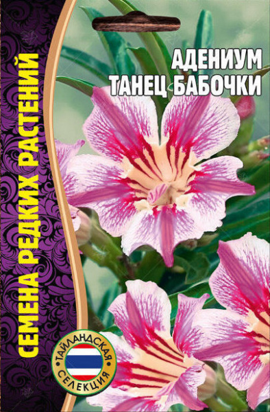 Адениум Танец бабочки 3шт (Ред.Сем) Адениум Танец бабочки 3шт (Ред.Сем)