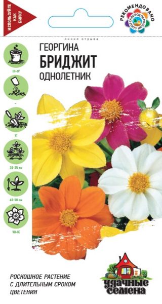 Георгина Бриджит смесь Удачные семена однолетник 0,3г (Гавриш) Георгина Бриджит смесь Удачные семена однолетник 0,3г (Гавриш)