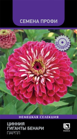 Цинния Гиганты Бенари Парпл Профи 10шт (Поиск)