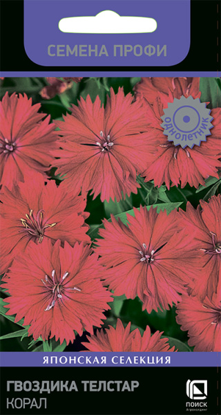 Гвоздика Телстар Корал Профи однолетник 10шт(Поиск)