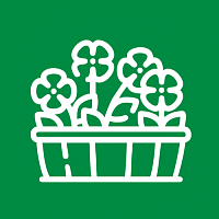 Многолетники Многолетники