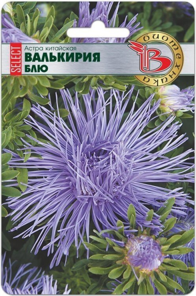 Астра ВАЛЬКИРИЯ Селект Блю 30шт (Биотехника)