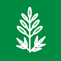 Астильбы Астильбы