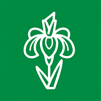 Ирисы Ирисы