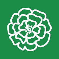 Бархатцы Бархатцы