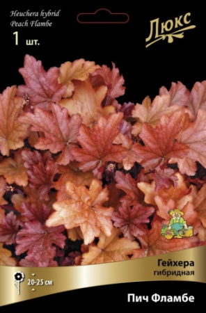 Гейхера Пич Фламбе 1шт (Поиск)