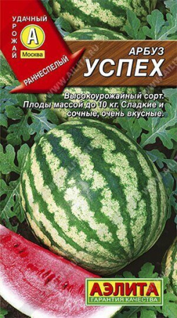 Арбуз Успех (Аэлита)