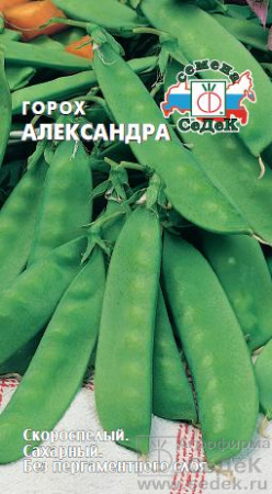 Горох Александра (Седек) Горох Александра (Седек)