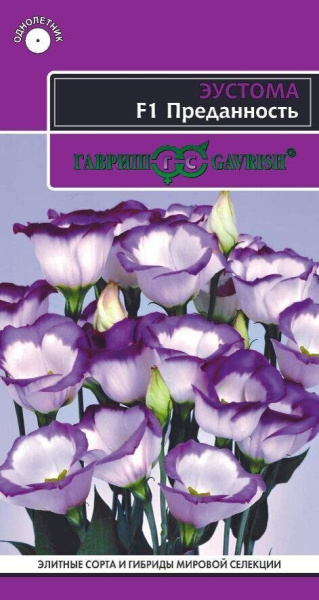 Эустома Преданность F1 низкорослая 4шт (Гавриш)