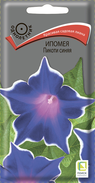 Ипомея Пикоти синяя однолетник 0,3г (Поиск)
