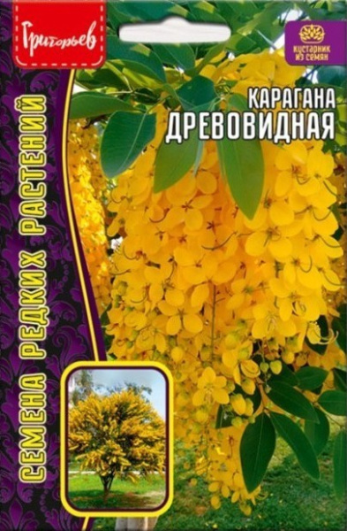 Карагана Древовидная 10шт (Ред.Сем.)