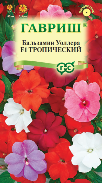 Бальзамин Уоллера F1 Тропический смесь 4шт (Гавриш)
