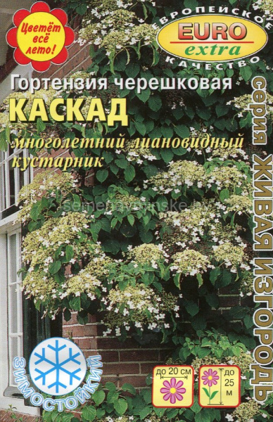 Гортензия Каскад черешковая многолетник 0,002г (АэлитаЭкстра)