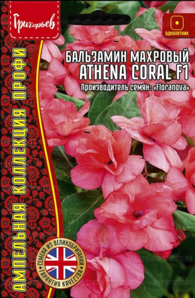 Бальзамин Уоллера Athena Coral F1 ампельный однолетник 4шт (Ред.Сем)